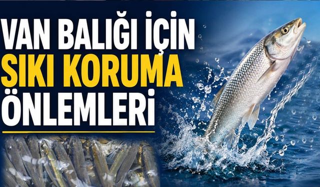 Van Balığı için sıkı koruma önlemleri