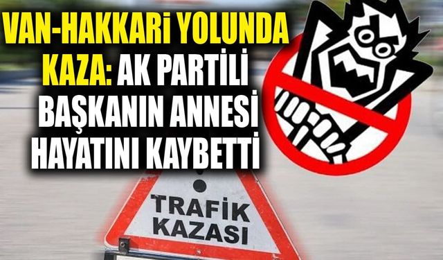 Van-Hakkari yolunda kaza: AK Partili başkanın annesi hayatını kaybetti