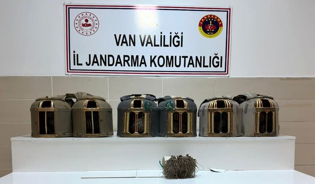 Van’da 6 kınalı keklik kurtarıldı