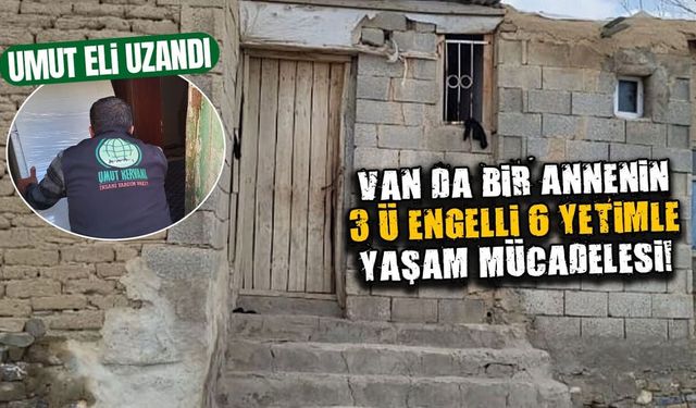 Van’da bir annenin 3’ü engelli 6 yetimle yaşam mücadelesi!