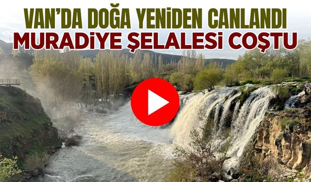 Van’da doğa yeniden canlandı: Muradiye Şelalesi coştu