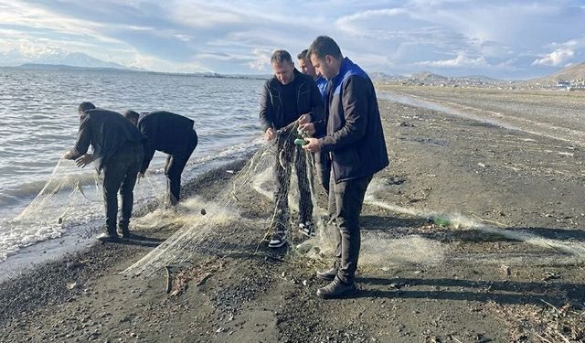 Van’da kaçak avlanan 300 kilo inci kefali doğal yaşam alanına bırakıldı