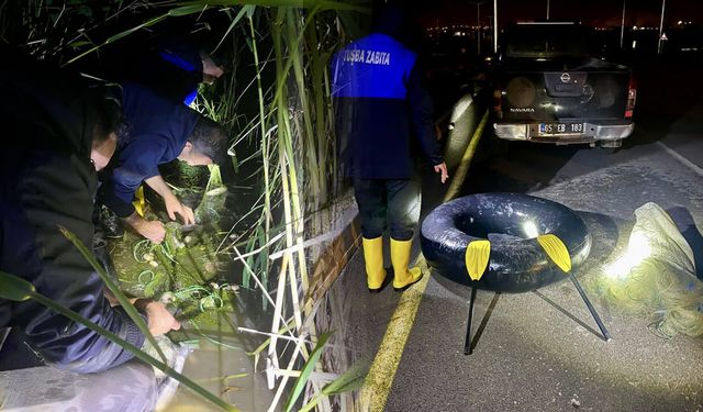 Van’da kaçak avlanmış 350 kilogram balık ele geçirildi