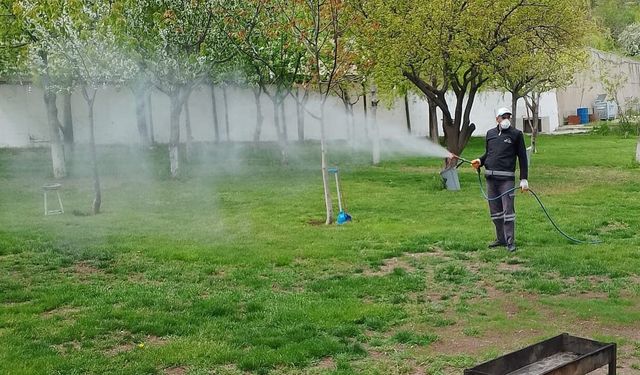 Van’da Kurban Bayramı öncesi ilaçlama mesaisi