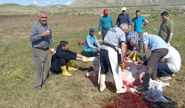 Van’da kurbanlıklar kesildi!