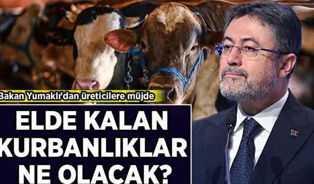 Van'da kurbanlıklarını satamayan çiftçilere müjde! ESK alacak...