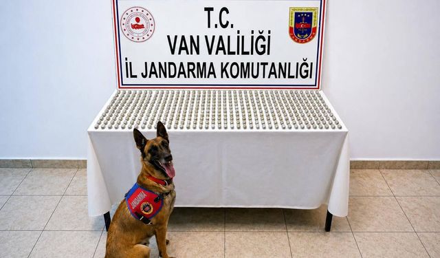 Van'da midesinde esrar taşıyan 8 kişi yakalandı!