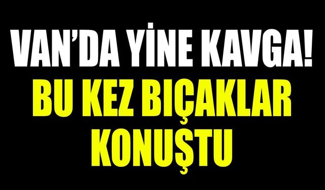 Van’da yine kavga! Bu kez bıçaklar konuştu