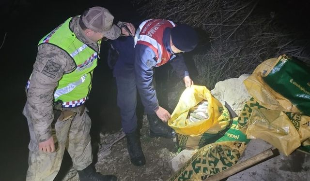 Van’da yüzlerce kilo inci kefali ele geçirildi!