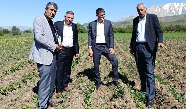 Coğrafi işaretli Gevaş Fasulyesi üreticilerine ziyaret