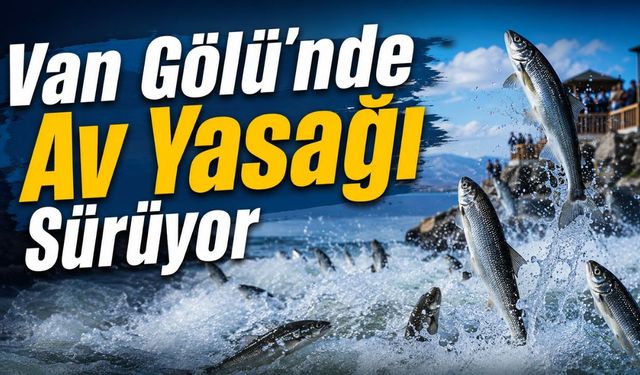İnci Kefali için Van Gölü’nde av yasağı sürüyor