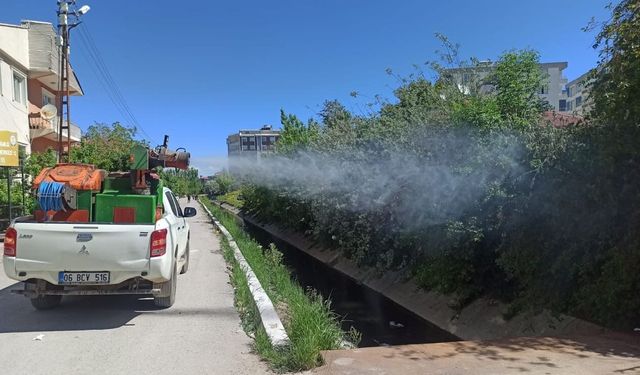 İpekyolu’nda ilaçlama çalışmaları sürüyor