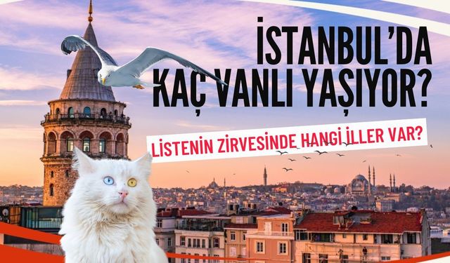 İstanbul’da kaç Vanlı yaşıyor? TÜİK verileri paylaşıldı