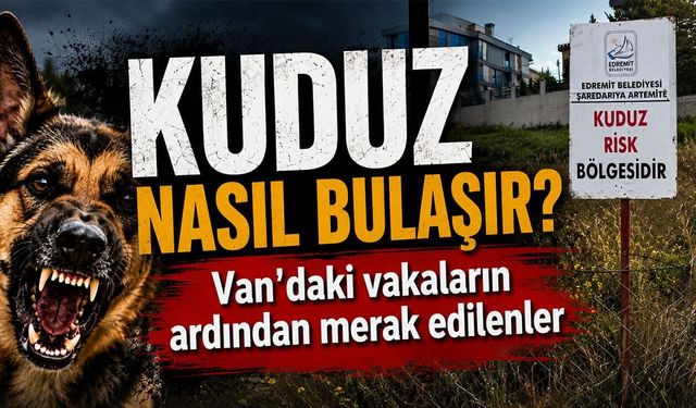 Kuduz bulaşıcı mıdır? Van'daki vakaların ardından merak edilenler
