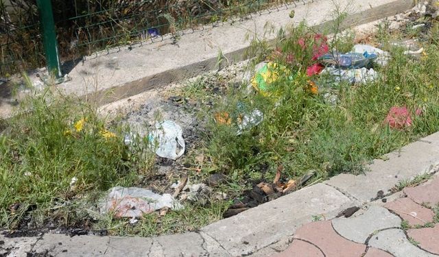 Muradiye Balık Bendi alarm veriyor: Doğa harikası çöplüğe döndü