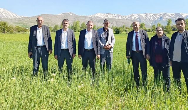 Van’da hububat seferberliği meyvelerini veriyor