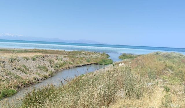 Van’da kaçak balık avına karşı denetimler aralıksız sürüyor