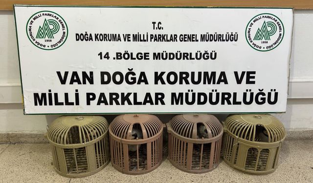 Van’da kafes avcılığına geçit yok: Kaçak avcıya ağır ceza