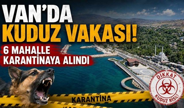 Van'da kuduz vakası! 6 mahalle karantinaya alındı