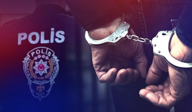 Van'da organize suç operasyonu