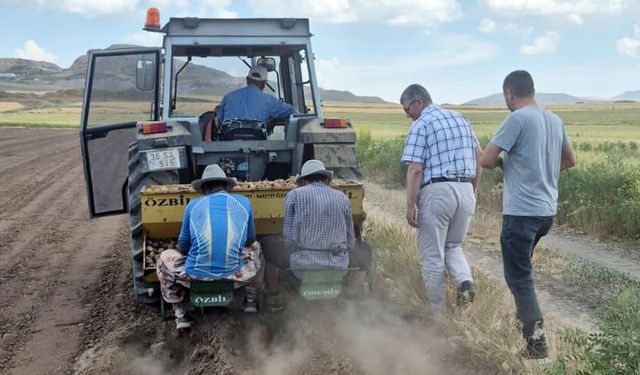 Van’da patates üretimine yerli çeşit desteği