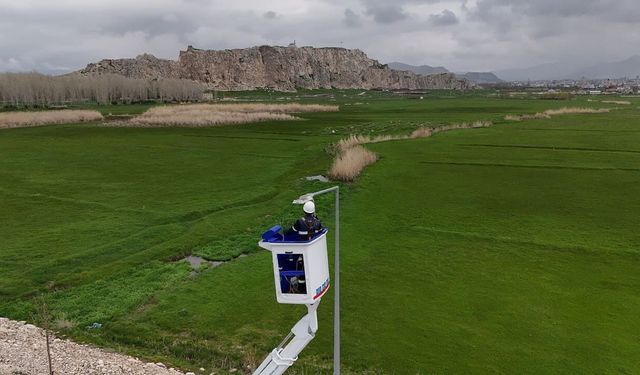 VEDAŞ’tan bakım onarım çalışmaları