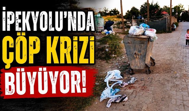İpekyolu'nda çöp krizi büyüyor!