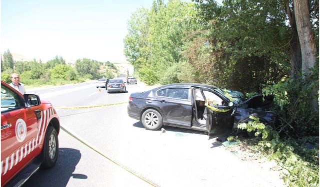 Otomobil ağaca çarptı: 2 kişi hayatını kaybetti