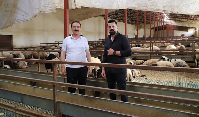 Van TB Başkanı Süer’den üreticilere ziyaret
