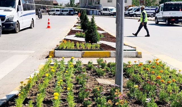 Van’da cadde ve refüjler çiçeklerle süsleniyor