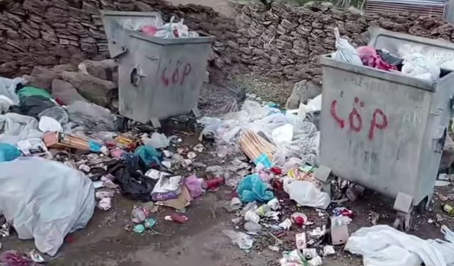 Van’da çöp sorunu sınırları aştı