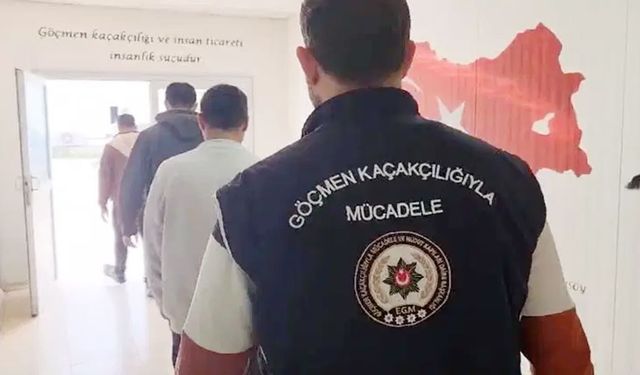 Van'da göçmen kaçakçılığı operasyonu: 1 organizatör tutuklandı