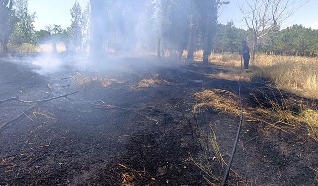 Van'da itfaiye ekiplerinden peş peşe yangın mesaisi