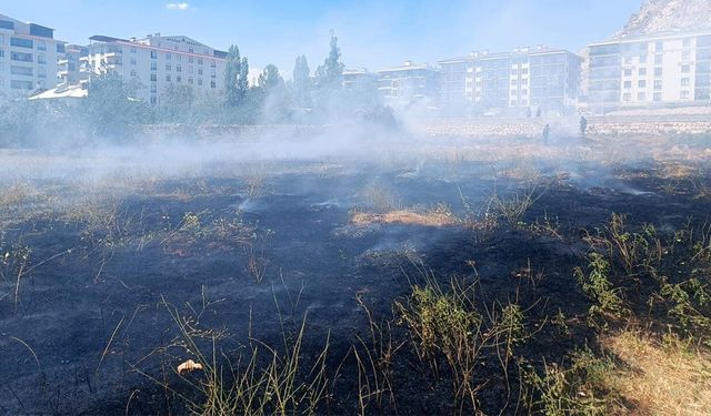 Van'da itfaiyeden trafik kazası, araç ve ot yangınlarına müdahale