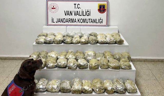 Van’da jandarmadan zehir tacirlerine ağır darbe
