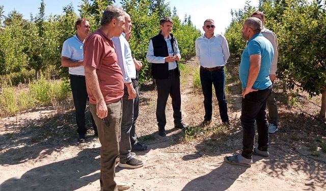 Van'da kırmızı et üretim tesislerinde inceleme