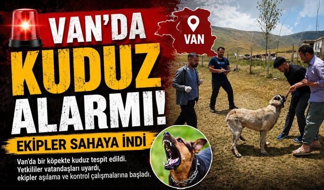 Van'da kuduz alarmı! Ekipler sahaya indi