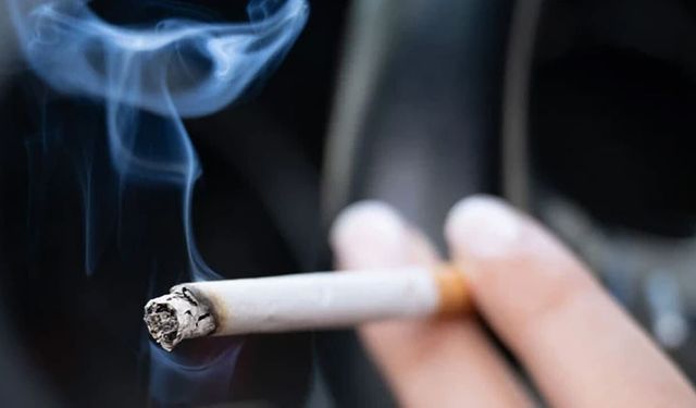 Van'da sigarayı bırakmak isteyenlere ücretsiz destek