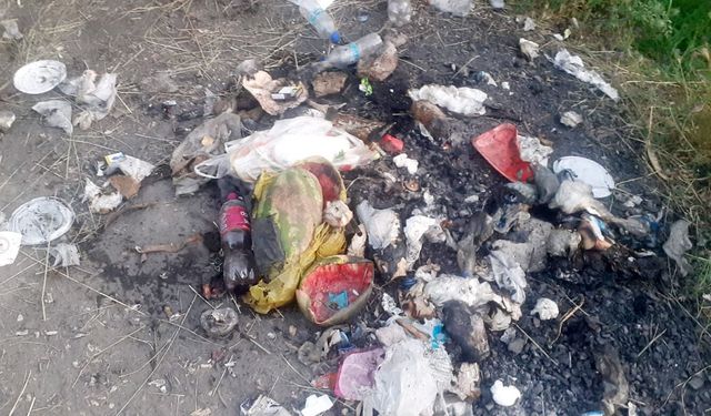 Van'ın doğa harikası Dönemeç Şelalesi'nde üzüntü veren manzara