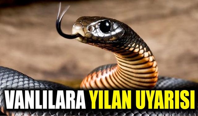 Vanlılara yılan ve yabani hayvan uyarısı