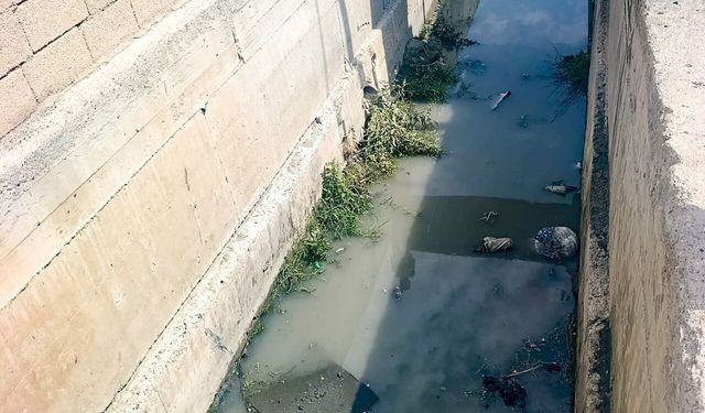 Van’da kanal ıslahı çalışmaları sürüyor