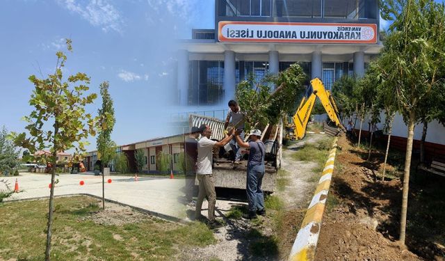 Van'da okul bahçeleri fidanlarla yeşerdi
