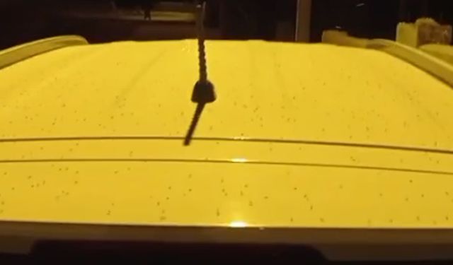 Van’da sivrisinek istilası! Vatandaşlar çözüm bekliyor