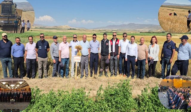 Van’da tarımsal demonstrasyon çalışmalarında yüksek verim elde edildi