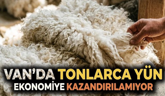 Van’da tonlarca yün ekonomiye kazandırılamıyor