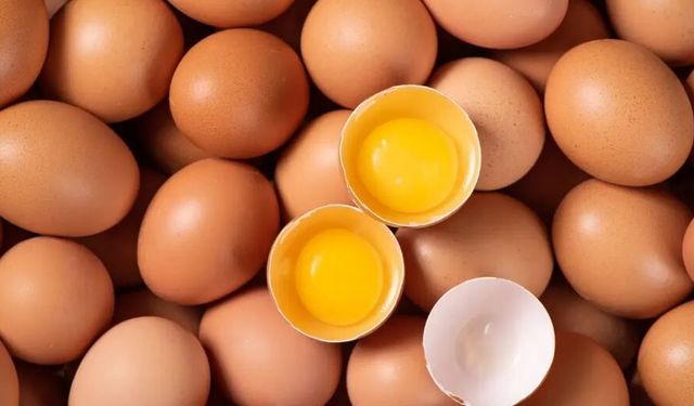 Yumurtada hastalık çıktı, onlarca kişi hastanelik oldu..