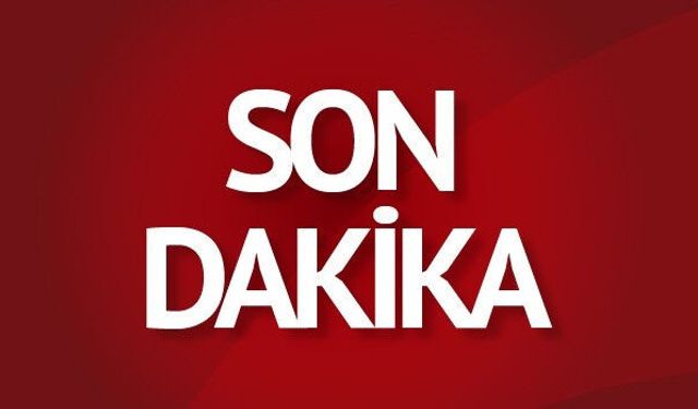 Van'da 20 yaşındaki çoban hayatını kaybetti