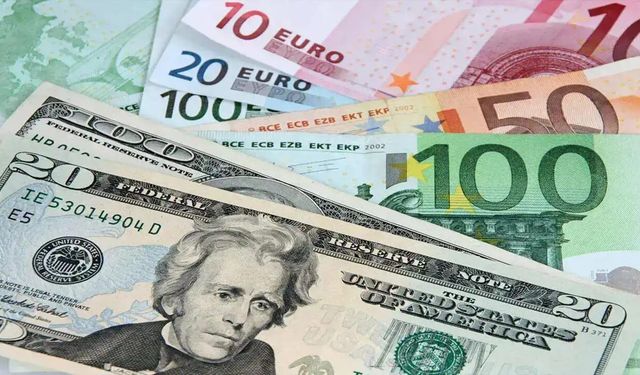 Dövizde hareketlilik: Dolar 48,8, euro 56 lirayı gördü