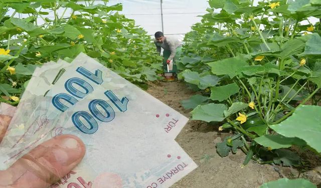 Eski hükümlülere 2 ayda 68,7 milyon liralık hibe desteği