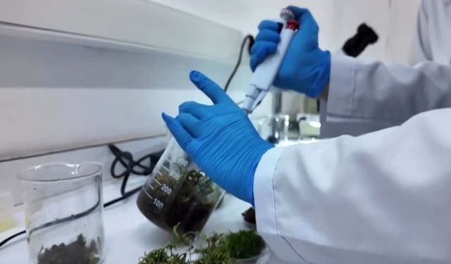 Gıdalarda aroma dönemi değişiyor: Yeni kurallar resmen yürürlükte